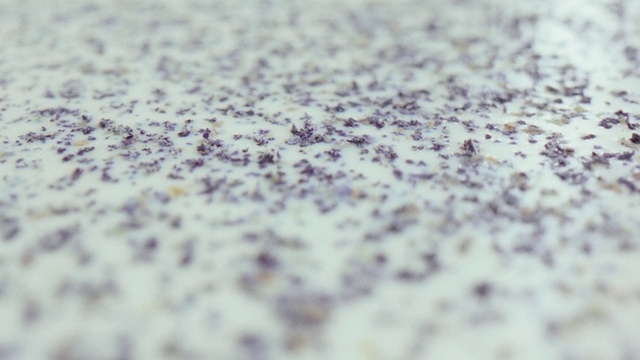 Video Reference: Pattern, Font, Electric blue, Stain, Soil