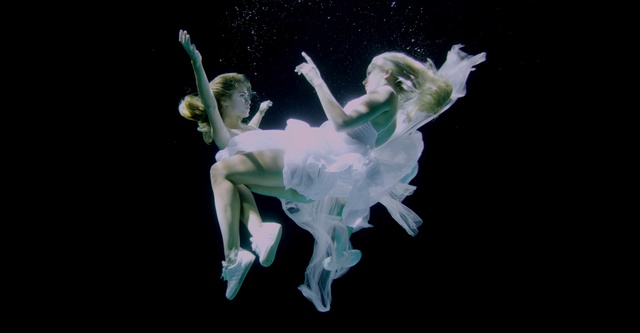 Video Reference: Entertainment, Performing arts, Horse, Mythical creature, Toy, Art, Event, Performance art, Choreography, Dancer