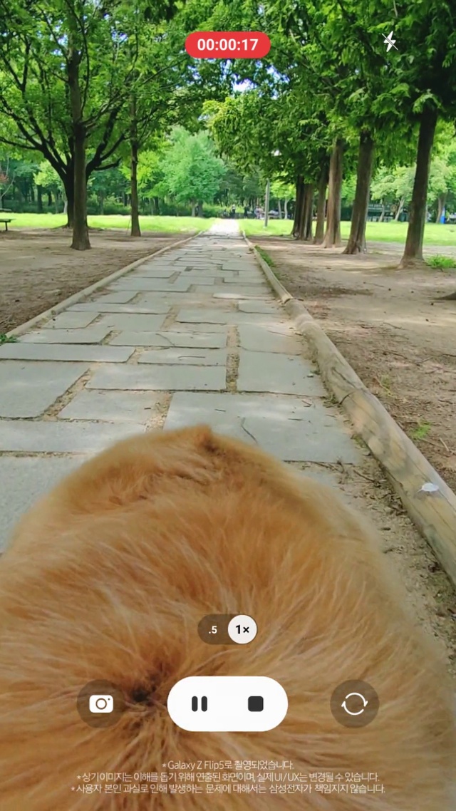 Video Reference: Plant, Eye, Tree, Green, Table, Nature, Leaf, Wood, Grass, Road surface