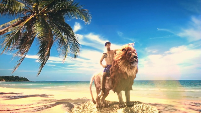 Video Reference: Cloud, Water, Sky, Plant, Tree, Blue, People on beach, Beach, People in nature, Dog breed