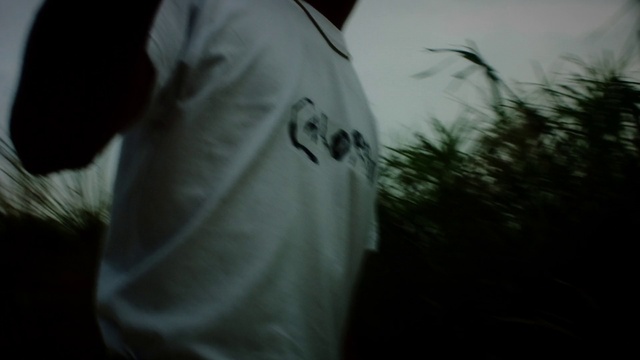 Video Reference: Sleeve, Flash photography, Elbow, Grass, Font, Sky, Event, Darkness, Hat, T-shirt