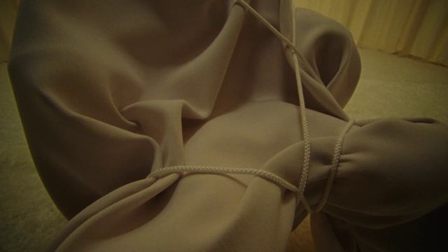 Video Reference: Sleeve, Collar, Comfort, Close-up, Pattern, Fashion accessory, Petal, Linens, Carmine, Silk