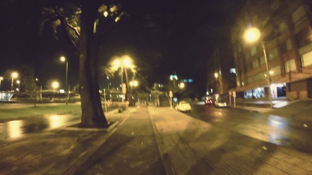 Video Reference: Street light, Sky, Automotive lighting, Light, Road surface, Asphalt, Building, Plant, Tree, Thoroughfare