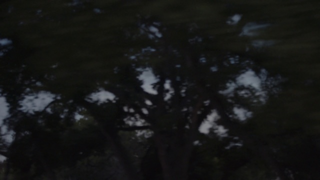 Video Reference: Twig, Natural landscape, Wood, Tints and shades, Trunk, Midnight, Astronomical object, Grass, Landscape, Automotive lighting