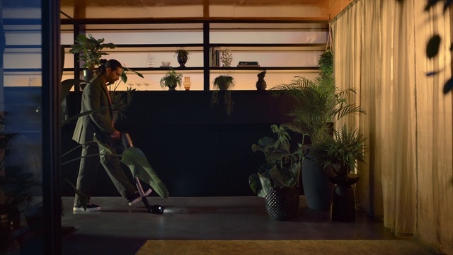 Video Reference: Plant, Sports equipment, Houseplant, Building, Wood, Skateboard, Window, Interior design, Floor, Flowerpot