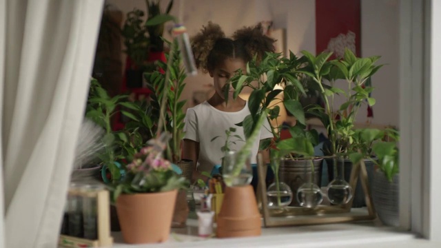 Video Reference: Plant, Flowerpot, Houseplant, Terrestrial plant, Flower, Vase, Flower Arranging, Window, Event, Floristry