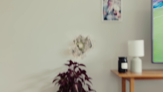 Video Reference: Interior design, Wood, Plant, Tints and shades, Twig, Lamp, Flower, Room, Monochrome photography, Light fixture