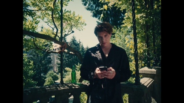 Video Reference: Tree, People in nature, Flash photography, Plant, Wood, Morning, Photographer, Camera lens, Tints and shades, Happy