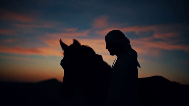 Video Reference: Cloud, Sky, Horse, Dusk, Plant, Landscape, Sunset, Working animal, Sunrise, Happy