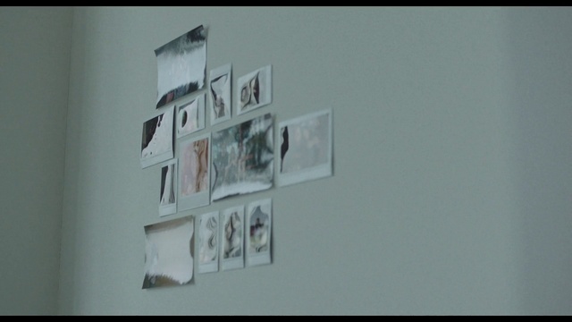 Video Reference: Rectangle, Art, Font, Event, Visual arts, Brand, Paper product, Paper, Room, Signage