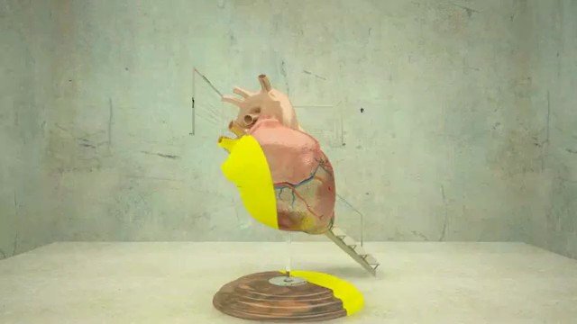 Video Reference: anatomical model, heart, sculpture, pedestal, indoor, room, artwork, medical model, yellow, display, installation, stand, plain background