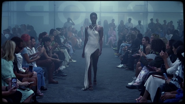 Video Reference: Footwear, Fashion, Style, Entertainment, Flash photography, Fashion design, Event, City, Performing arts, Crowd