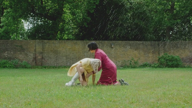 Video Reference: Plant, Carnivore, Dog breed, Grass, Fawn, Dog, People in nature, Companion dog, Tree, Grassland