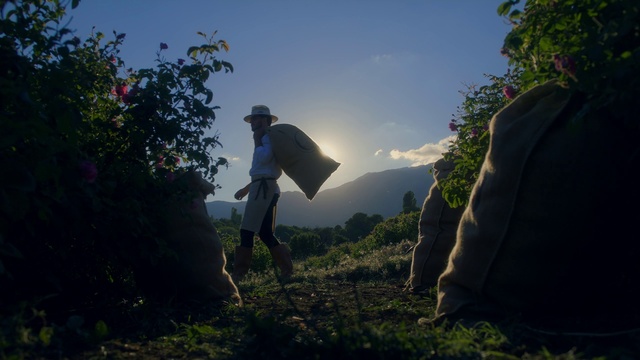 Video Reference: Sky, Plant, People in nature, Cloud, Vegetation, Sunlight, Grass, Natural landscape, Atmospheric phenomenon, Terrain