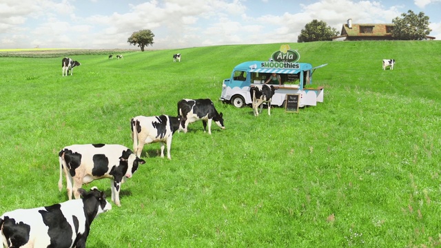 Video Reference: Sky, Vertebrate, Green, Plant, Natural landscape, Cloud, Natural environment, Tree, Mammal, Dairy cow