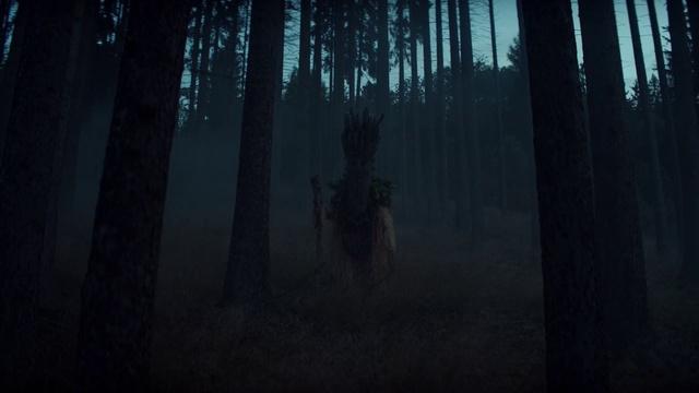 Video Reference: Atmosphere, Plant, Sky, Tree, Wood, Branch, Natural landscape, Trunk, Grey, Terrestrial plant