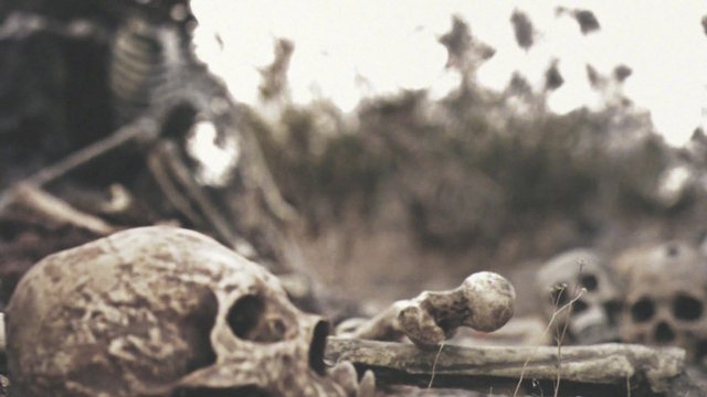 Video Reference: skull, bones, skeleton, graveyard, archaeology, death, remains, macabre, blurred, close-up, historical, bone fragments