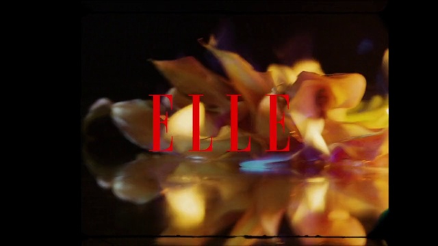 Video Reference: Gesture, Fire, Flame, Font, Gas, Heat, Signage, Darkness, Event, Rectangle