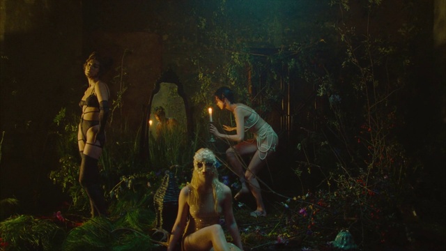 Video Reference: Plant, People in nature, Nature, Lighting, Organism, Sunlight, Grass, Art, Painting, Adaptation