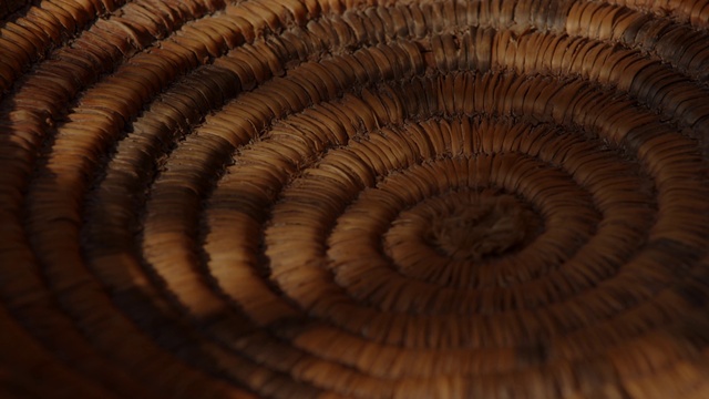 Video Reference: Brown, Wood, Natural material, Hardwood, Pattern, Art, Close-up, Trunk, Flooring, Terrestrial animal