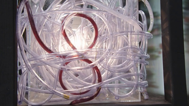 Video Reference: Automotive lighting, Automotive design, Rim, Circle, Pattern, Glass, Wire, Metal, Transparent material, Engineering