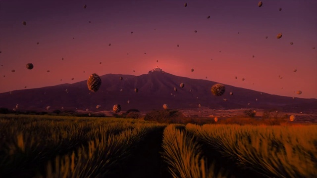 Video Reference: Sky, Plant, Aerostat, Atmosphere, Hot air ballooning, Ecoregion, Hot air balloon, Nature, Natural environment, Natural landscape