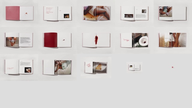 Video Reference: Rectangle, Art, Font, Event, Screenshot, Brand, Exhibition, Visual arts, Room, Stock photography