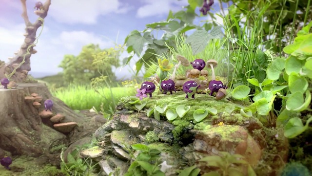 Video Reference: Plant, Cloud, Sky, Terrestrial plant, Natural landscape, Flower, Leaf vegetable, Biome, Grass, Wood