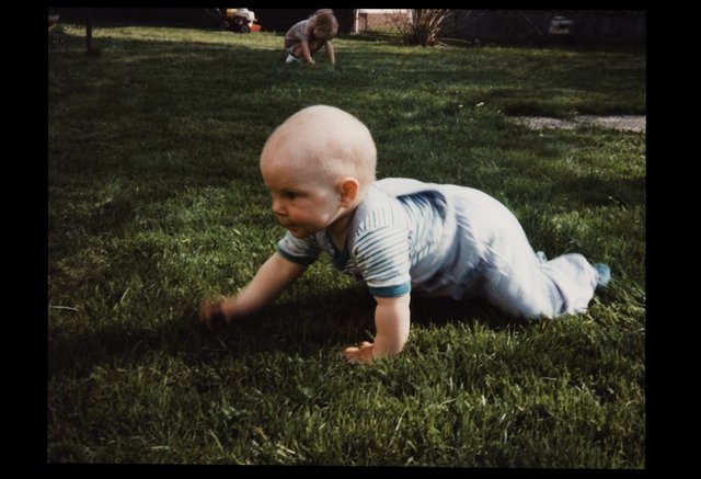 Video Reference: baby, child, crawling, grass, yard, outdoor, play, family, summer, backyard, infant, toddler