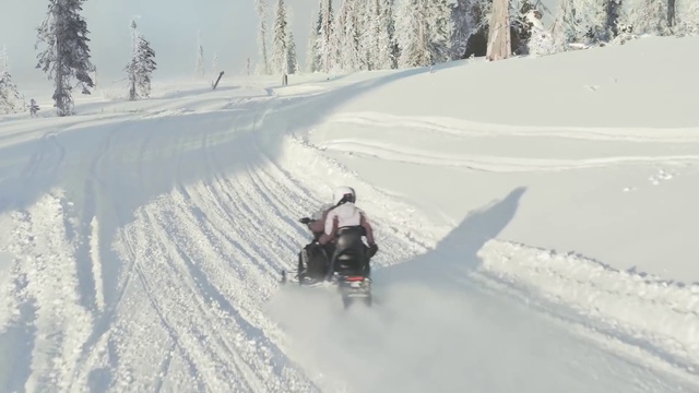 Video Reference: Snow, Vehicle, Automotive tire, Snowmobile, Slope, Plant, Tree, Motor vehicle, Sled, Freezing