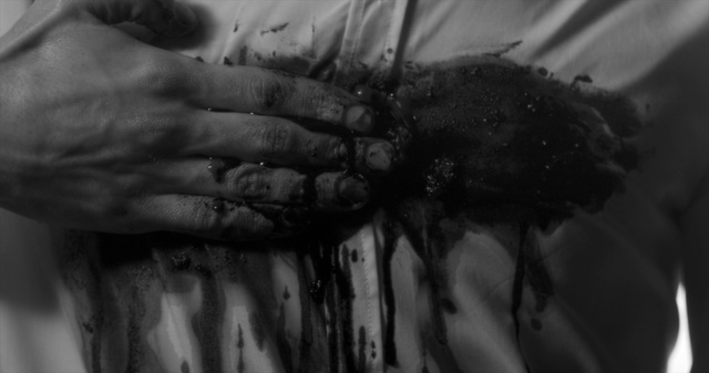 Video Reference: Eyebrow, Eye, Vertebrate, Eyelash, Human body, Mammal, Plant, Organism, Gesture, Grey