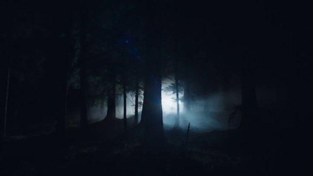 Video Reference: Plant, Water, Wood, Tree, Natural landscape, Automotive lighting, Twig, Fog, Street light, Tints and shades