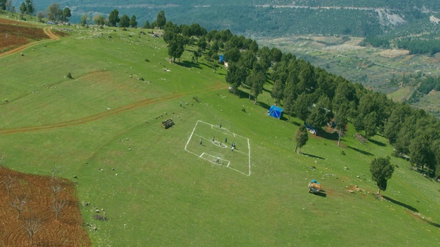 Video Reference: Ecoregion, Tree, Plant, Slope, Highland, Land lot, Grass, Outdoor recreation, Biome, Terrain