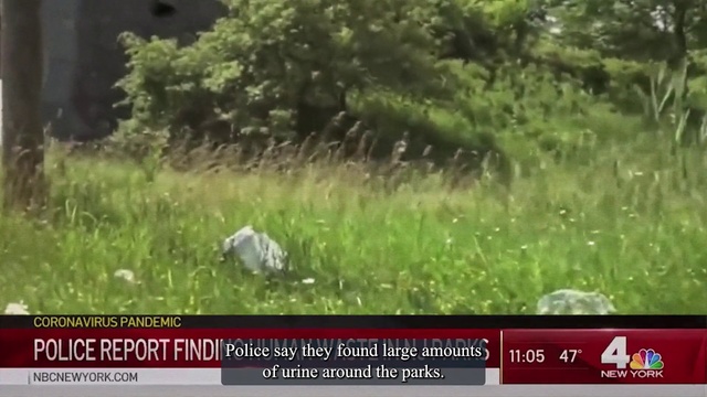 Video Reference: Plant, Natural landscape, Grass, Terrestrial plant, Font, Groundcover, Grass family, Grassland, Tree, Landscape