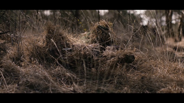 Video Reference: Atmosphere, Sky, Plant, Twig, Wood, Flash photography, Natural landscape, Atmospheric phenomenon, Trunk, Grass