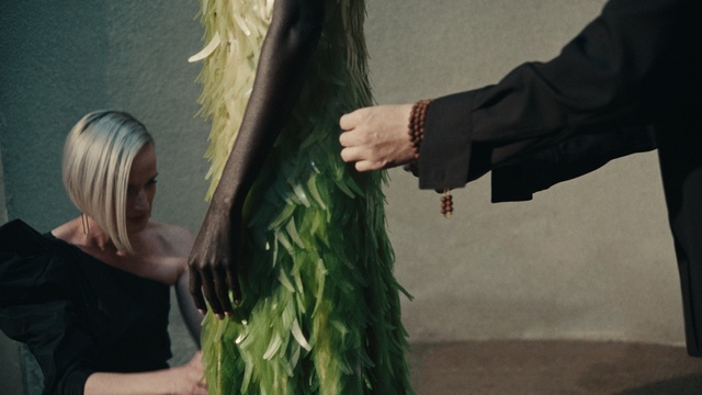Video Reference: Gesture, People in nature, Plant, Grass, Terrestrial plant, Artificial hair integrations, Art, Event, Happy, Fun