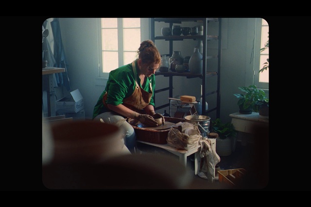 Video Reference: Flash photography, Window, Organism, Adaptation, Plant, Tints and shades, Darkness, Service, Glass, Art