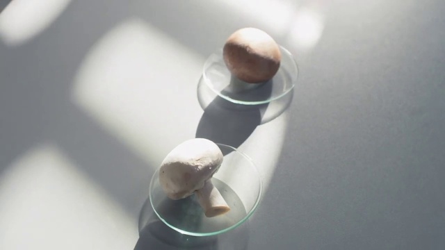 Video Reference: Hand, Arm, Plant, Gesture, Toy, Audio equipment, Twig, Metal, Art, Automotive design