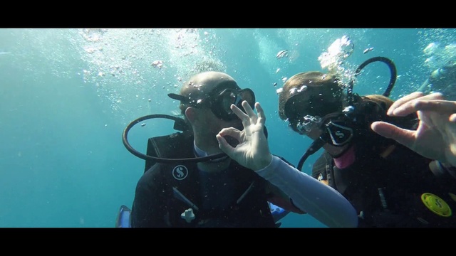 Video Reference: Water, Underwater diving, Divemaster, Scuba diving, Vertebrate, Diving equipment, Underwater, Fluid, Organism, Outdoor recreation