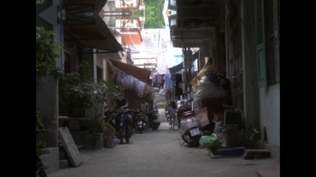 Video Reference: Building, Tire, Road, City, Alley, Wheel, Plant, Road surface, Street, Pedestrian