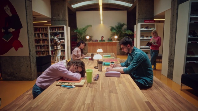 Video Reference: Table, Plant, Bookcase, Houseplant, Wood, Interior design, Shelf, Building, Flooring, Hardwood