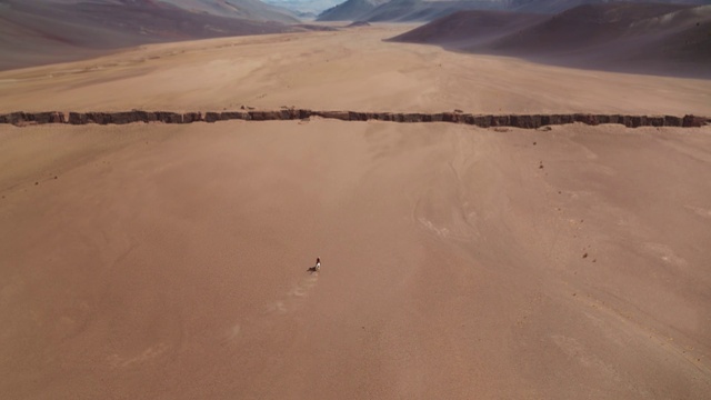 Video Reference: Ecoregion, Water, Sky, Terrain, Landscape, Plain, Singing sand, Aeolian landform, Horizon, Erg