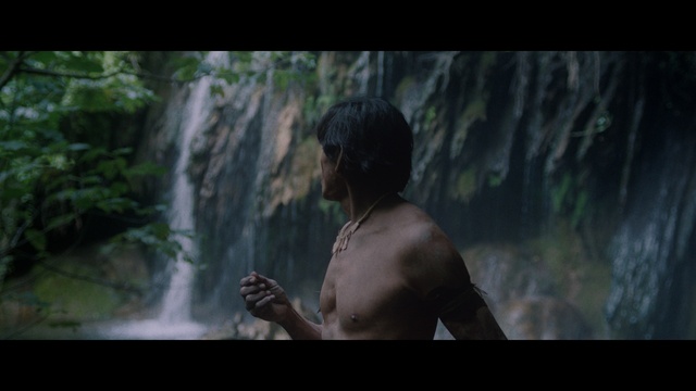 Video Reference: Water, Flash photography, Terrestrial plant, Waterfall, People in nature, Tree, Spring, Forest, Natural landscape, Landscape