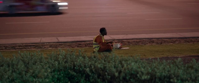 Video Reference: Plant, Vertebrate, Guitar, Musical instrument, Asphalt, Road surface, Grass, Automotive lighting, Fun, Musician