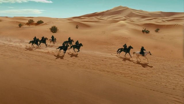 Video Reference: Ecoregion, Camel, Sky, Natural environment, Working animal, Camelid, Biome, Fawn, Landscape, Erg