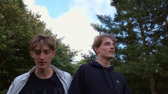Video Reference: Forehead, Face, Sky, Cloud, Leaf, Sleeve, Tree, T-shirt, Grass, Woody plant