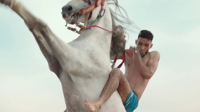 Video Reference: Horse, Hand, Sky, Gesture, Working animal, Finger, Bit, Horse supplies, People on beach, Happy