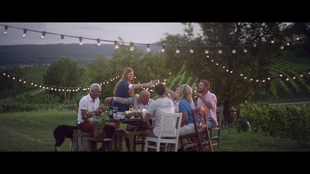Video Reference: Plant, Furniture, Sky, Chair, Table, Flash photography, Tree, Dress, Happy, Leisure