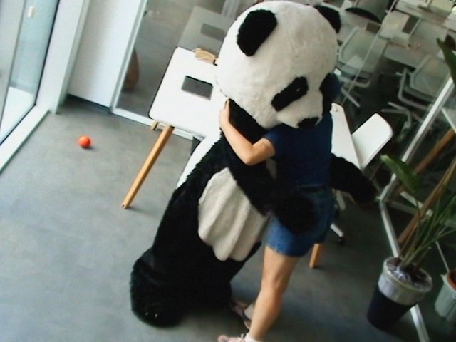 Video Reference: panda costume, hug, child, indoor, playful, costume, office, glass doors, chairs, plant, fun, people, animal suit