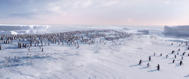 Video Reference: Cloud, Sky, Ecoregion, Vertebrate, Snow, Mammal, Ice cap, Freezing, Glacial landform, Adaptation